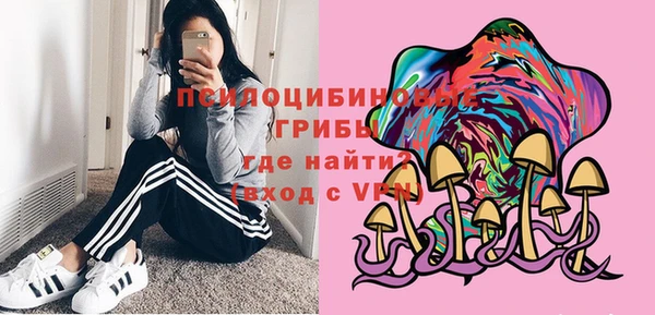 стафф Абаза
