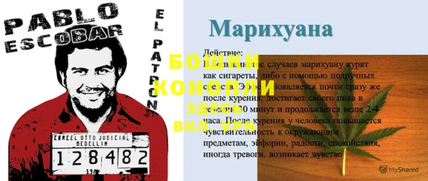 стафф Абаза
