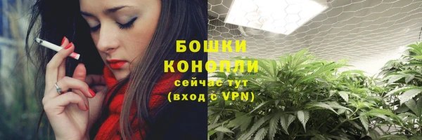 ГАЛЛЮЦИНОГЕННЫЕ ГРИБЫ Абдулино