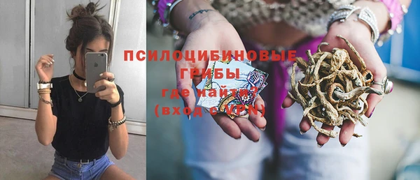 стафф Абаза