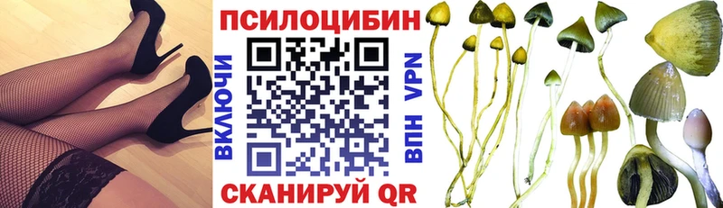 Псилоцибиновые грибы MAGIC MUSHROOMS  Гусиноозёрск 