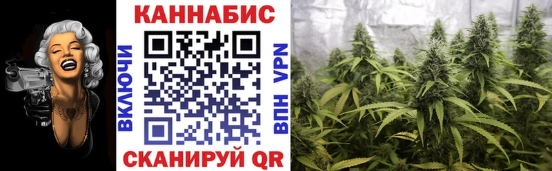Бошки Шишки марихуана  как найти наркотики  Гусиноозёрск 